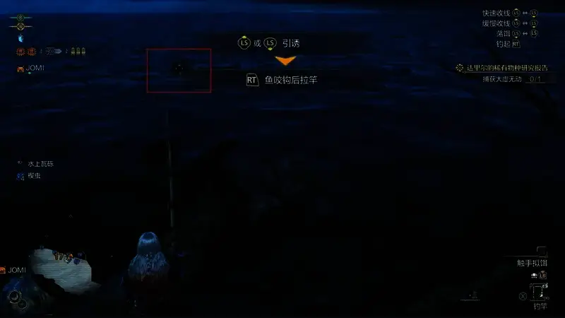 乌贼探出头看鱼饵的画面