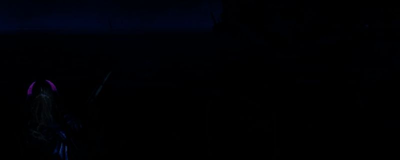 怪物猎人荒野钓大鱼场景