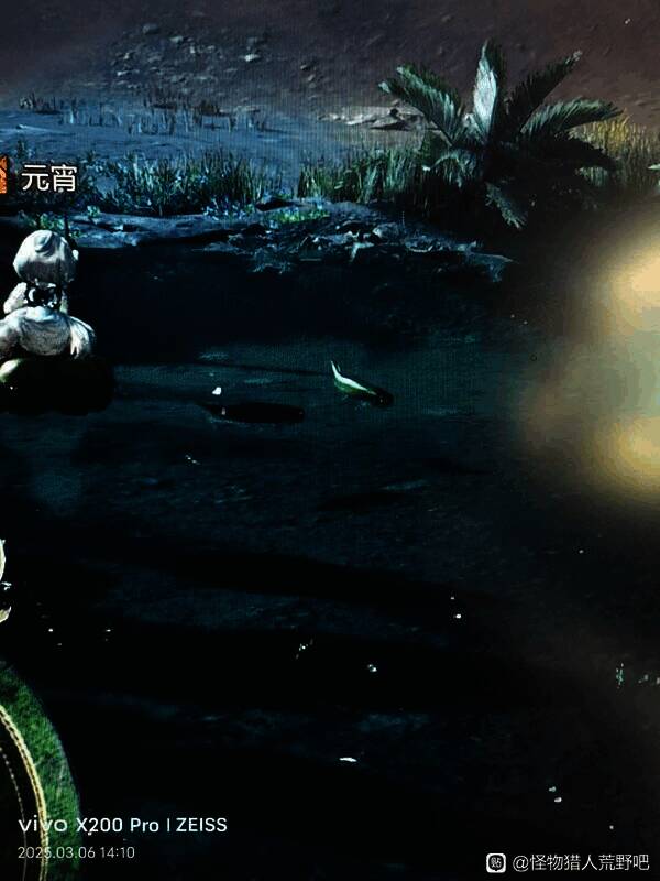 《怪物猎人：荒野》钓鱼场景画面1