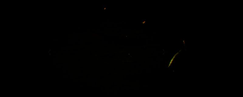 《怪物猎人：荒野》相关游戏画面