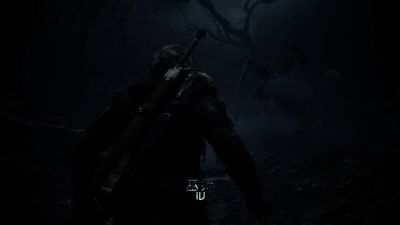 《巫师4》希里壁纸