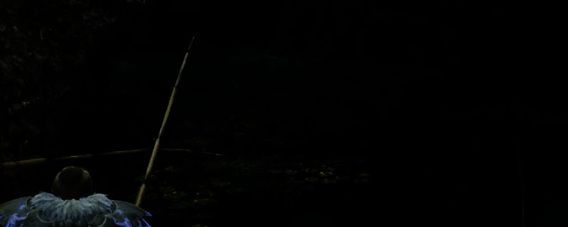 《怪物猎人：荒野》钓鱼画面