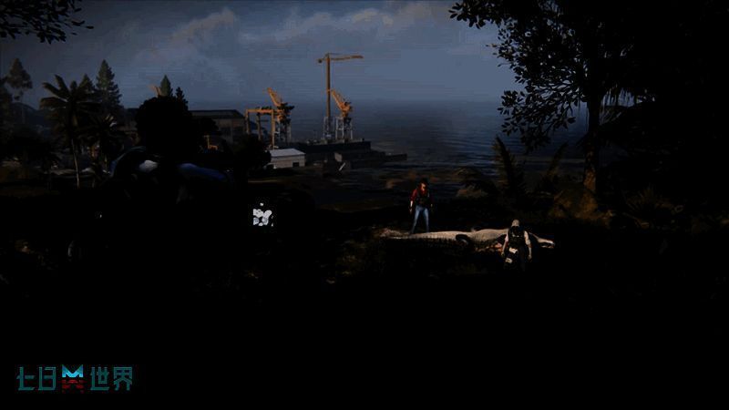 奈科特世界拍照功能画面