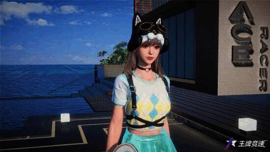 王牌竞速猫咪和狗狗头套细节图