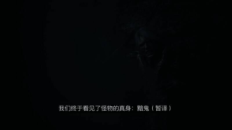 希里与黯鬼战斗的画面