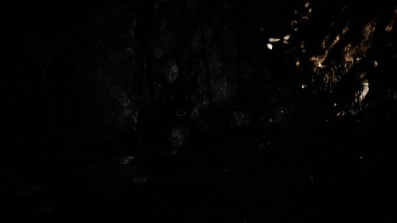 《哥特王朝:重制版》游戏截图5