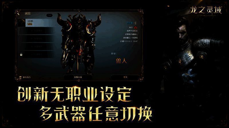 《龙之灵域》战斗场景图