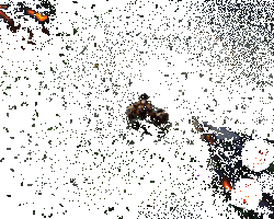 小袖之手技能动画3