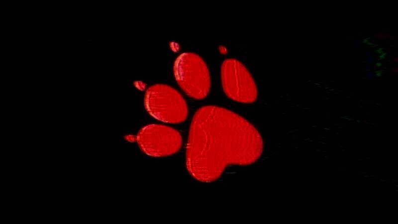 《星际：异端先知》游戏画面17