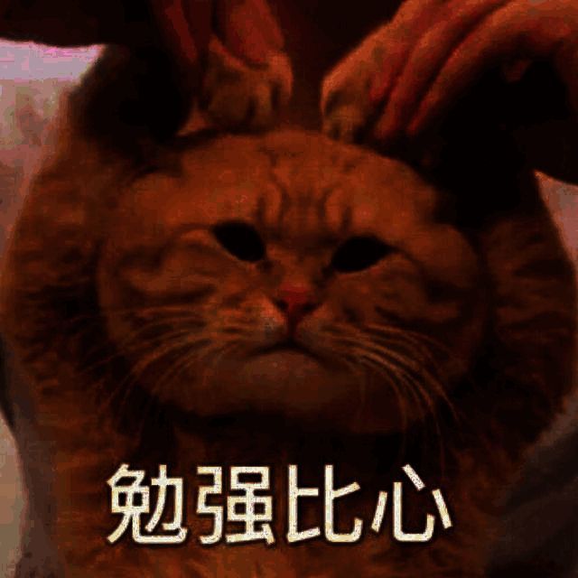 麻辣王子超长辣条图片