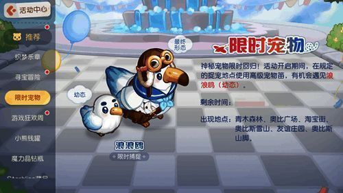 浪浪鸥宠物图片