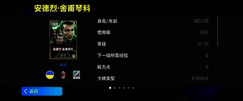 舍甫琴科赛场风采图