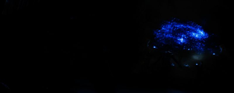 La Quimera游戏相关图片1