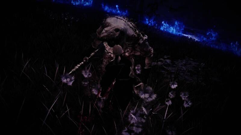 《艾尔登法环：黑夜君临》公爵夫人相关画面9