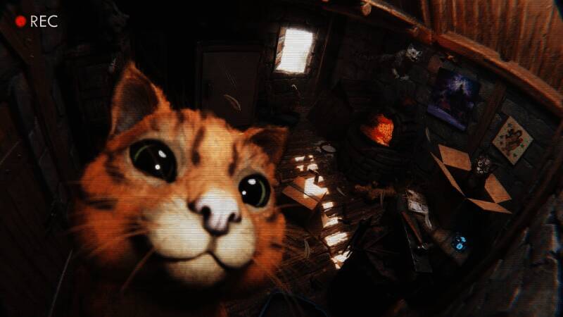 游戏中的猫形象