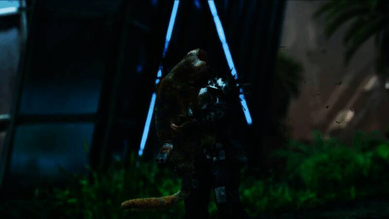 应激状态的小猫