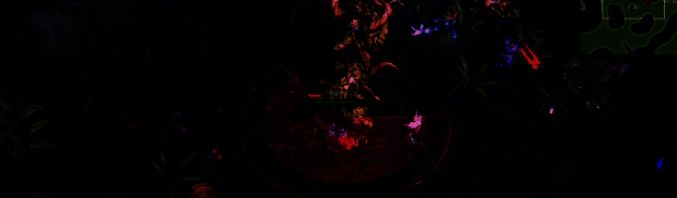 威乐福PvP竞技场画面