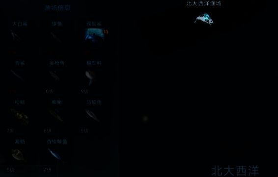 百慕大渔场鱼类分布相关图片