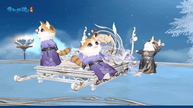 灵猫休息舔毛伸懒腰