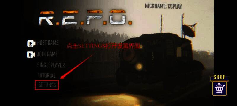 repo游戏主界面点击settings的画面