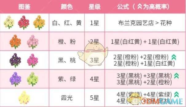 《心动小镇》春野令霞光迎春花杂交相关图片