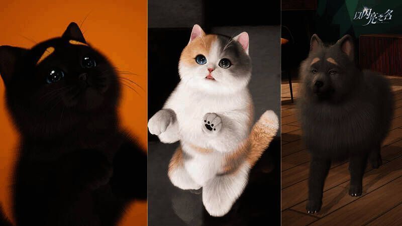 《以闪亮之名》宠物实机画面