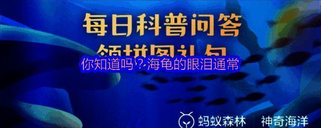 神奇海洋相关图片1