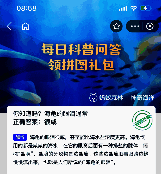 神奇海洋相关图片2