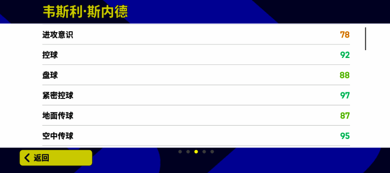 斯内德相关图片4