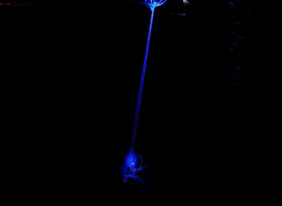 用钩子抓黑洞的游戏场景图片