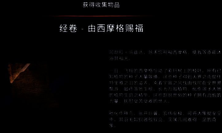 西摩格相关的游戏画面图片