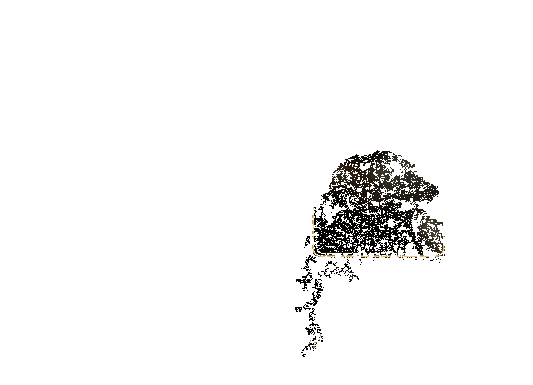 活动动态展示图片