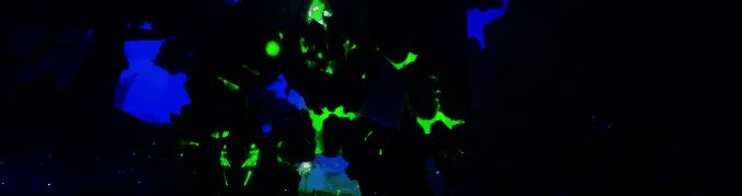 WorldShards多人游戏画面