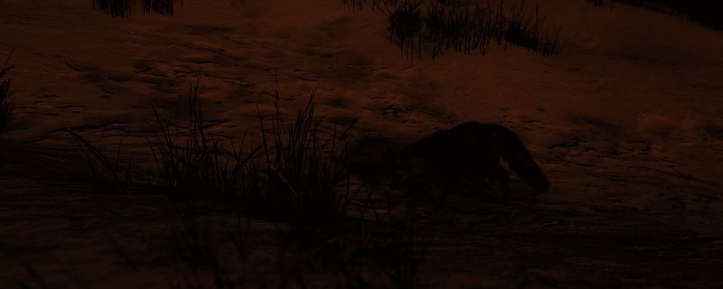 刺客信条影雪地赤狐墨绘位置相关图片