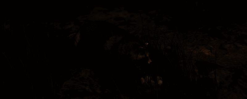 《刺客信条：影》狸猫窃蛋墨绘相关图片