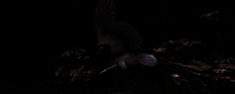 《刺客信条：影》朱鹮捕蚌墨绘相关图片