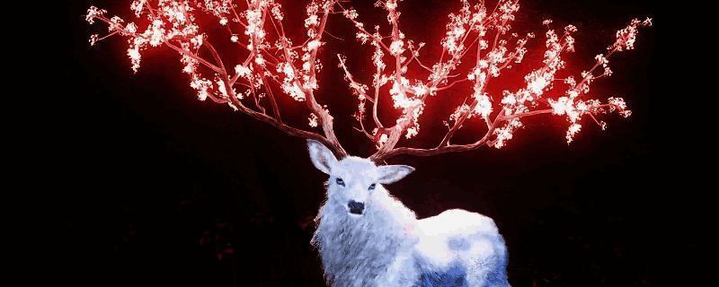 《刺客信条：影》传奇梅花鹿图相关画面