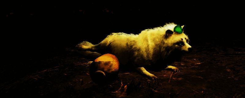 刺客信条：影相关图片