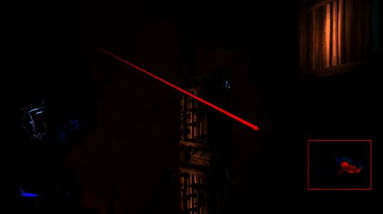 看到目标鹦鹉画面