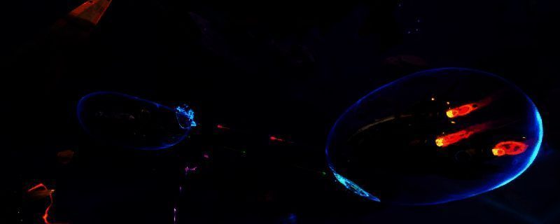 《无主星渊》游戏相关图片1