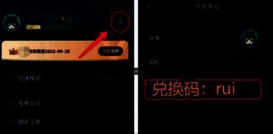 加速器兑换 VIP 图片