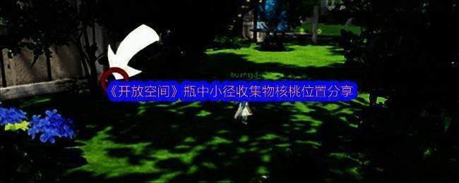 开放空间瓶中小径的相关画面