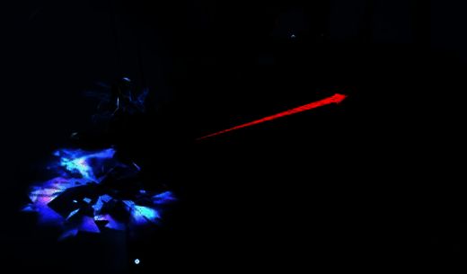 继续向右跑的画面