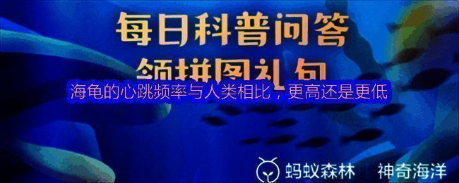 支付宝神奇海洋相关图片1