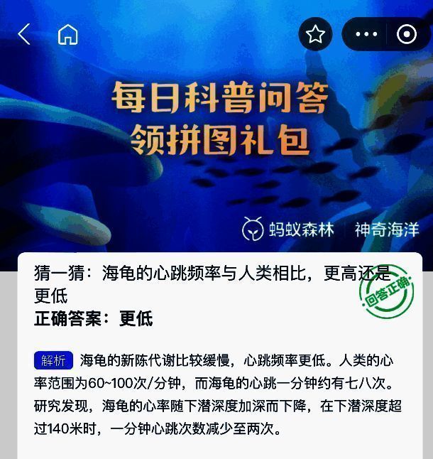 支付宝神奇海洋相关图片2