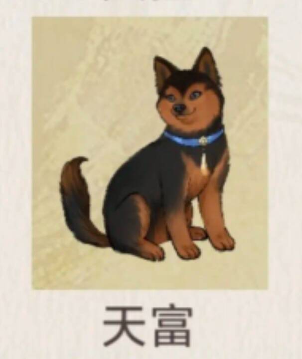 狼巷迷谷附近的黑衣老者和红衣姑娘