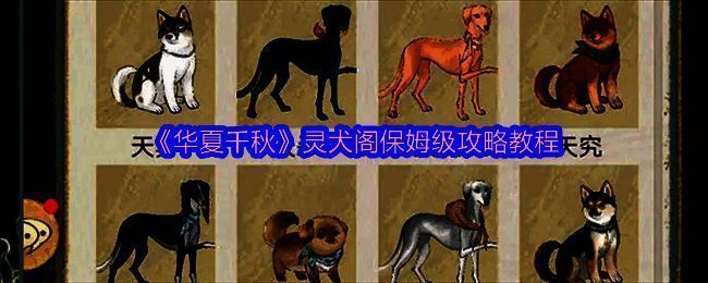 华夏千秋游戏灵犬阁相关图片
