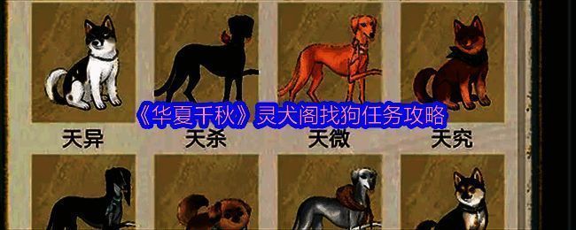 《华夏千秋》灵犬阁找狗任务地图坐标图片