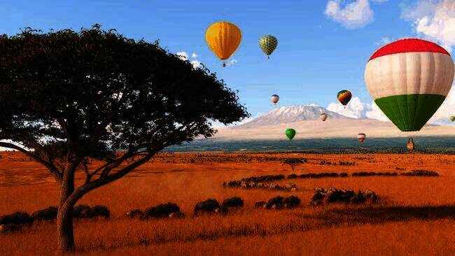 《微软飞行模拟2024》开发相关画面