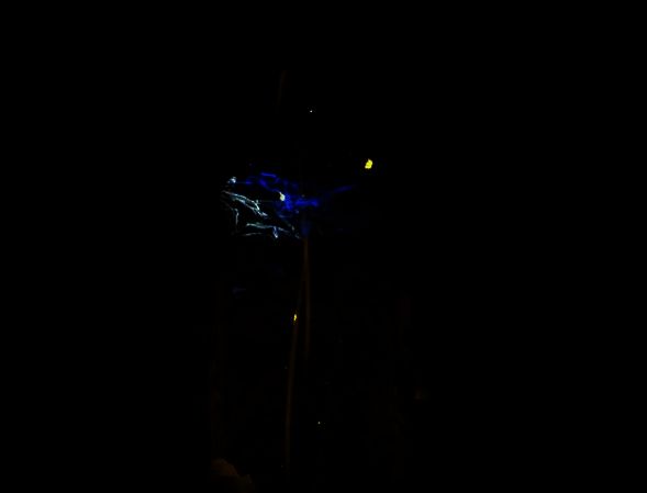 准备进入右边入口画面